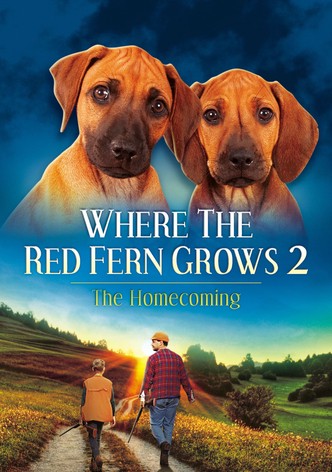 Where The Red Fern Grows Part 2