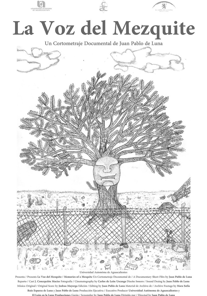 Memories of a Mesquite