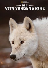 Den vita vargens rike