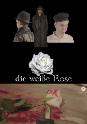 Die weiße Rose