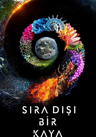 Sıra Dışı Bir Kaya