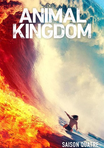 Animal kingdom best sale streaming season 4