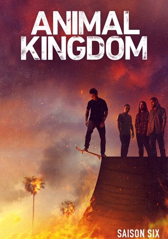 Animal Kingdom - Season 6