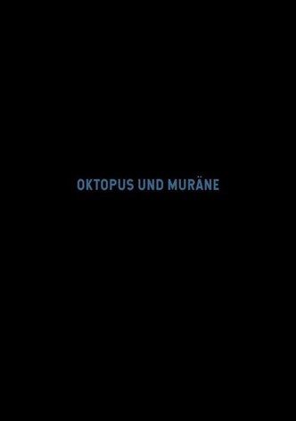Oktopus und Muräne