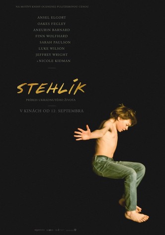 Stehlík