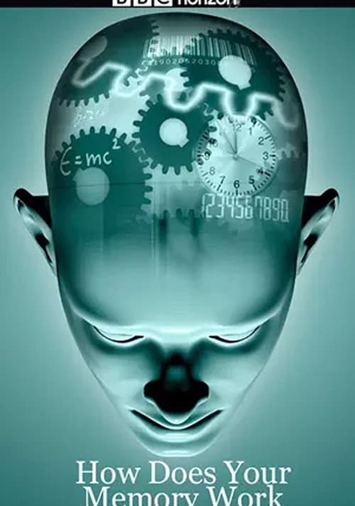 How Does Your Memory Work