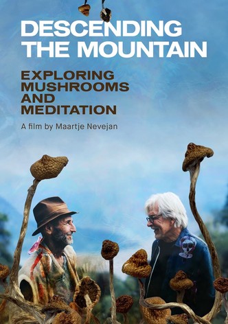 Descending the mountain