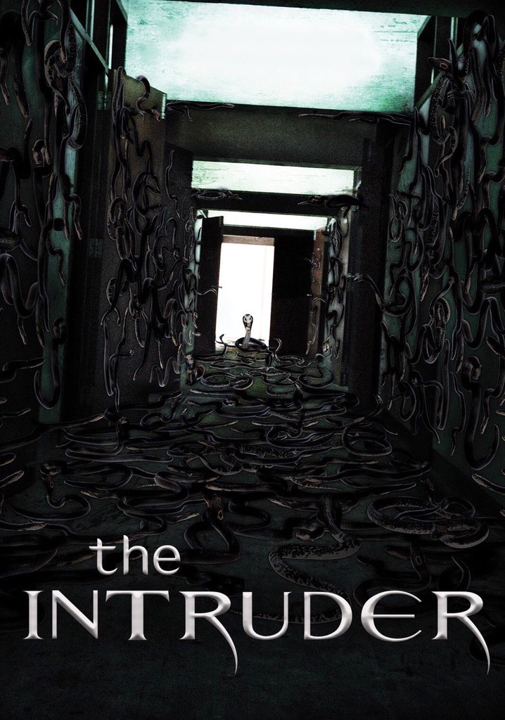 Watch The Intruder Streaming Online