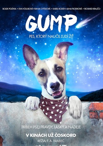 Gump – pes, ktorý naučil ľudí žiť