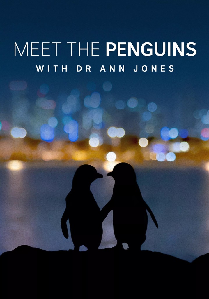 Meet the Penguins - movie: watch stream online