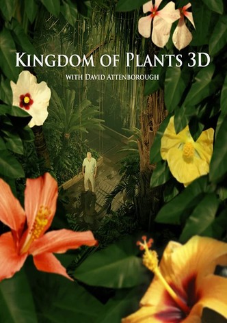 Kingdom of Plants