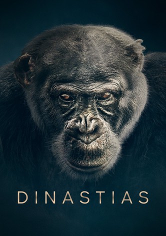 Dinastias