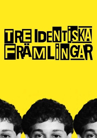 Tre identiska främlingar