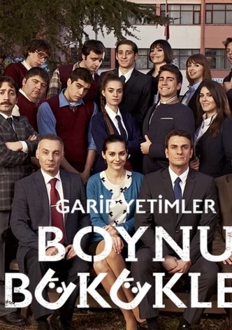 Boynu Bükükler