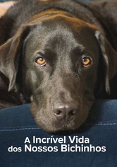 A Incrível Vida dos Nossos Bichinhos