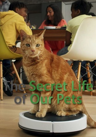 The Secret Life of Pets