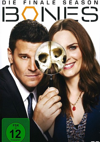 Bones - Staffel 12 [dt./OV]