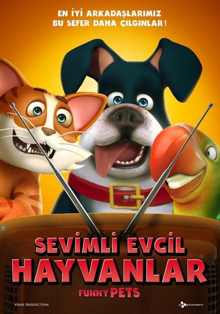 Sevimli Evcil Hayvanlar