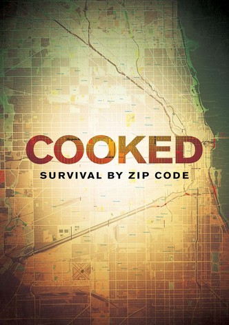 Cooked: Survival by Zip Code