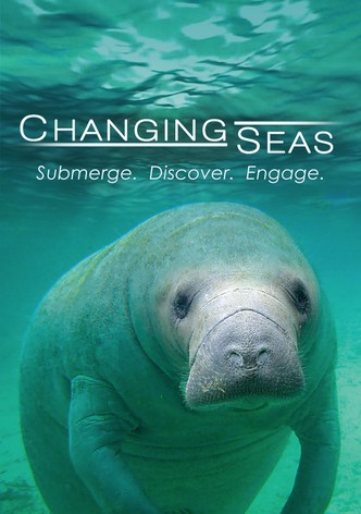 Changing Seas