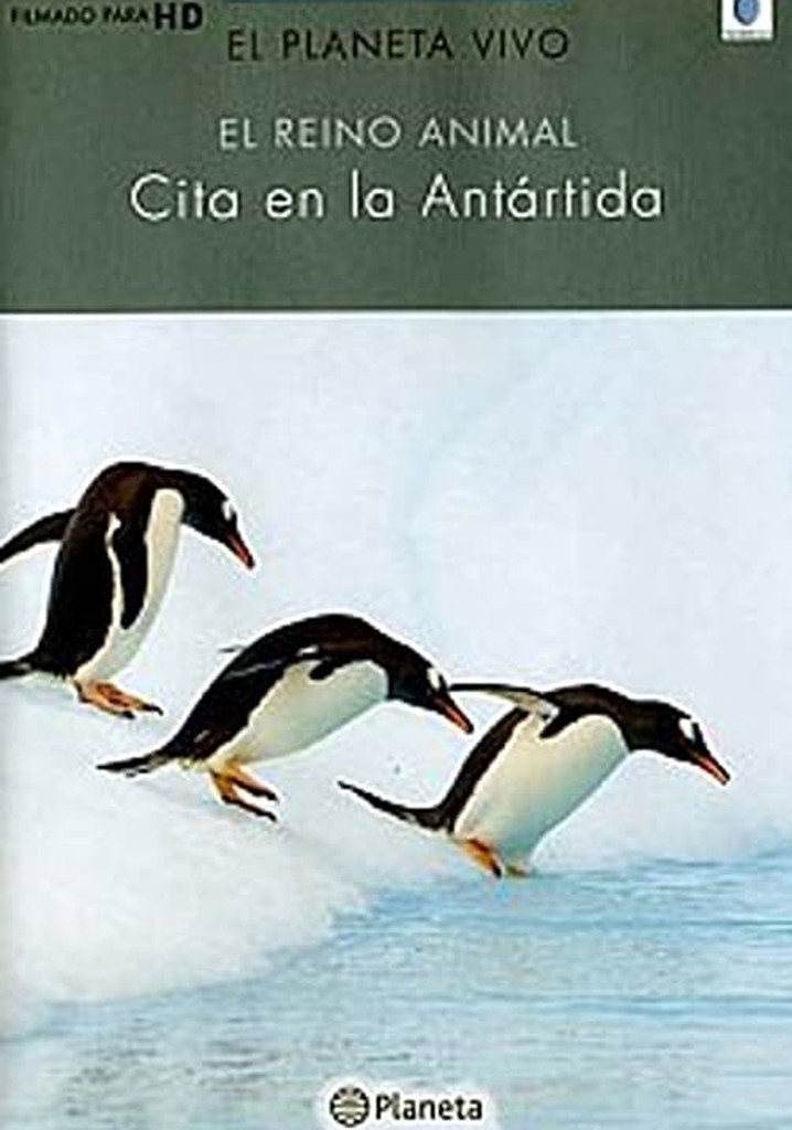 Rush Hour in Antarctica