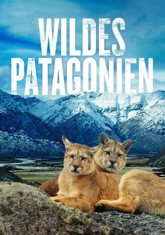 Wildes Patagonien