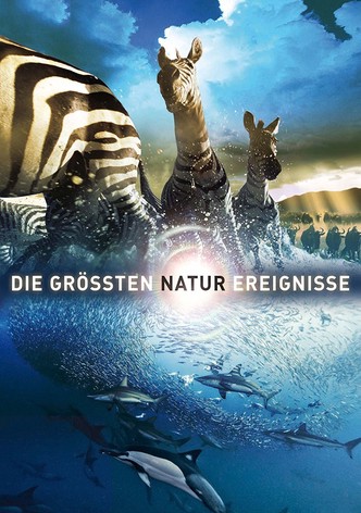 Die größten Naturereignisse
