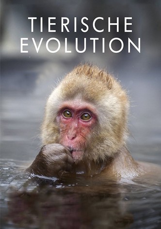 Tierische Evolution mit David Attenborough