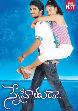 Snehituda poster