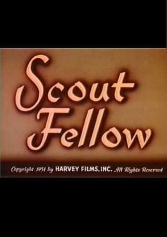 Scout Fellow