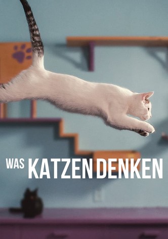 Was Katzen denken