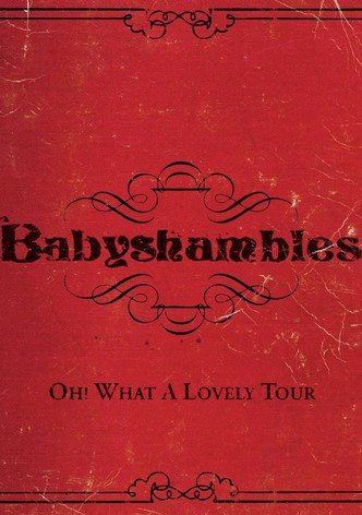Oh! What a Lovely Tour - Babyshambles Live