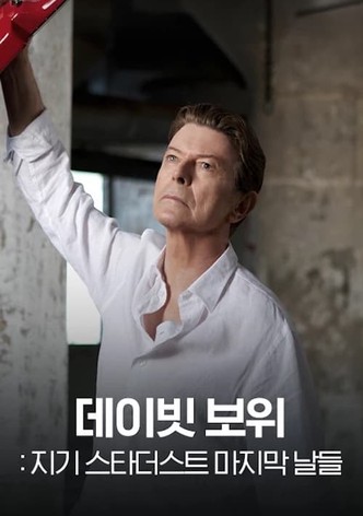 데이빗 보위: 지기 스타더스트 마지막 날들