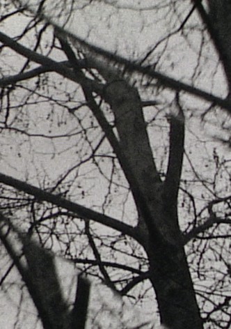 Triple Exposure