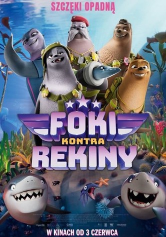 Foki kontra rekiny