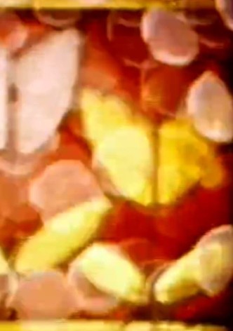 Psychedelic Cinema - Mesmerized by Uncertainty