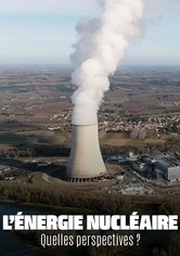 L'Énergie nucléaire : Quelles perspectives ?