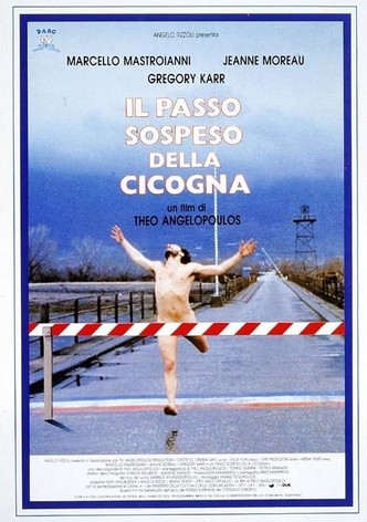 Il passo sospeso della cicogna