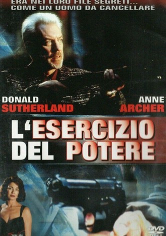 L'esercizio del potere