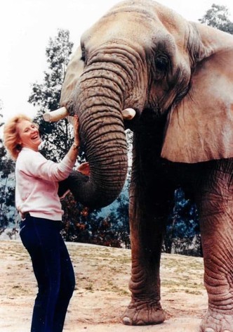 I Talk to Animals