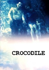 Crocodile