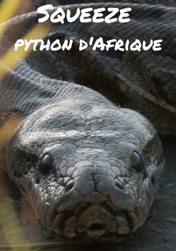 Squeeze: African Python
