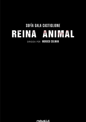 Reina Animal