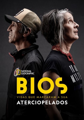 Bios. Vidas que Marcaram a sua: Andrés Calamaro