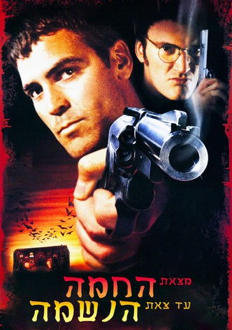 מצאת החמה עד צאת הנשמה