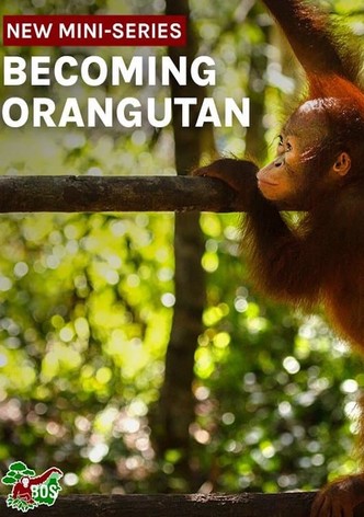 Becoming Orangutan