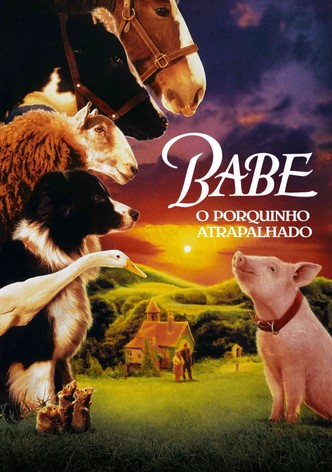 Um Porquinho Chamado Babe