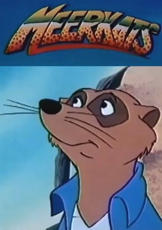 Meerkats