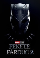 Fekete Párduc 2.