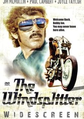 The Windsplitter